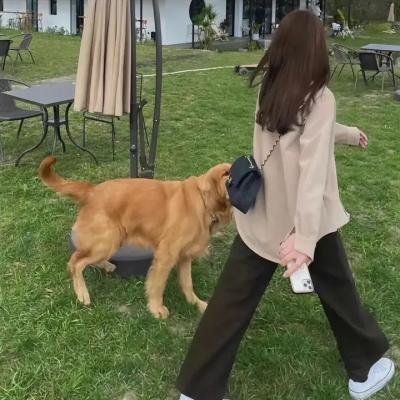 彭宇翔